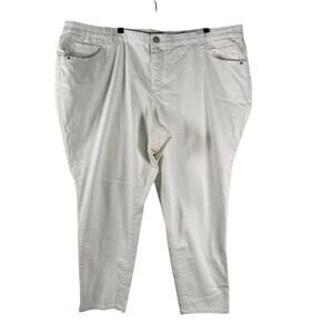 Democracy Women's White Stretch Cotton High Rise Skinny Jeans Plus Size 24W